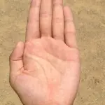 Come andrà il matrimonio in base alla lettura della mano