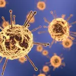 Interventi nazionali per far fronte alla crisi economica dovuta al Coronavirus