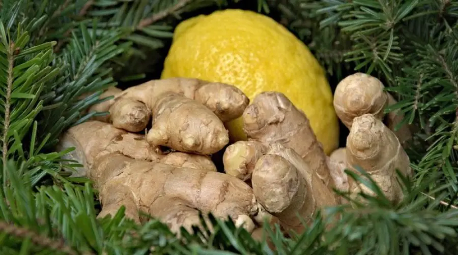 I dimagranti a base di limone e zenzero funzionano?