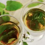 Finocchio proprietà e benefici