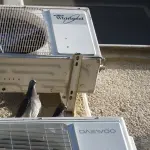 Condizionatori perché sceglierne uno Giapponese