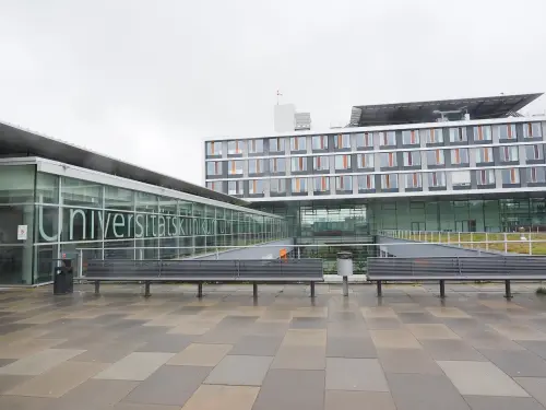 Scegliere una facoltà universitaria: gli aspetti fondamentali da considerare