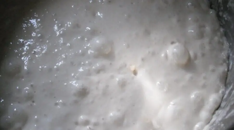 Il lievito madre una risorsa naturale in cucina