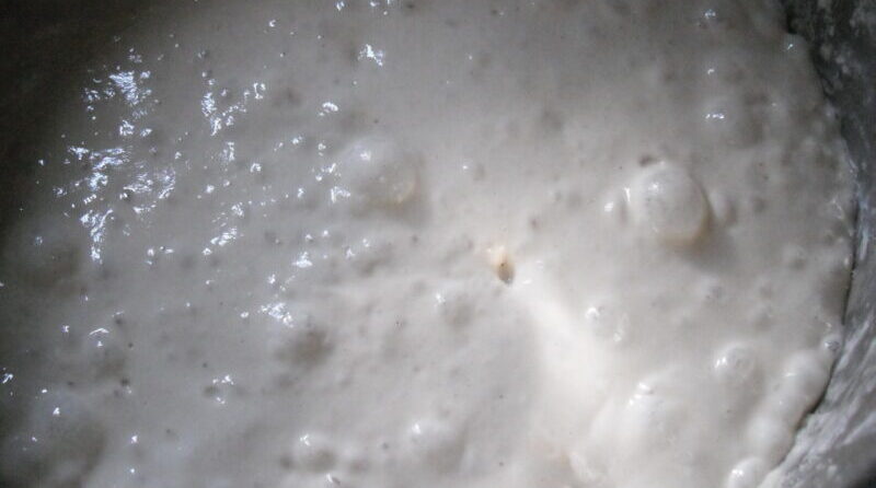 Il lievito madre una risorsa naturale in cucina