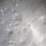 Il lievito madre una risorsa naturale in cucina