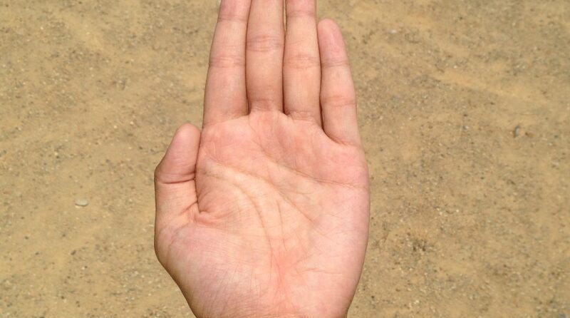 Stimolare la guarigione delle cicatrici: i prodotti coadiuvanti